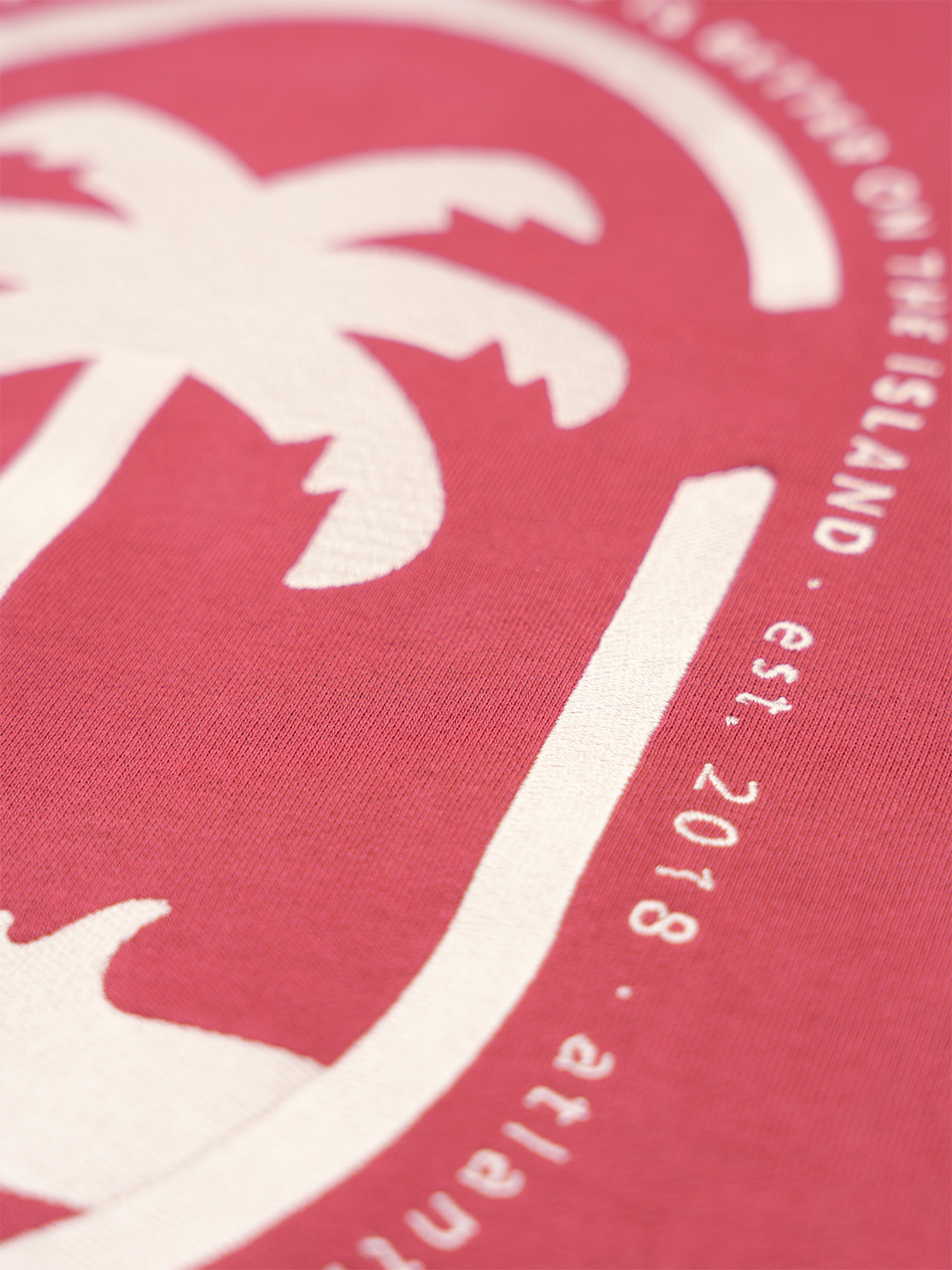 Palm fire6 web